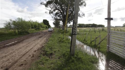 La Plata: quinteros armados patrullarán con sus autos para protegerse