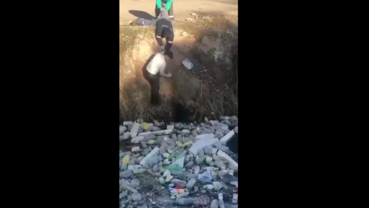 Neuquén: vecinos hicieron una cadena humana para rescatar a un perrito