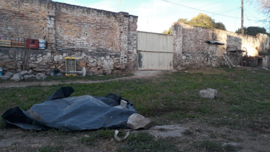 Córdoba: mataron a palazos a un dogo que atacó a cuatro personas