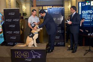 Jubilaron a 14 perros de la AFIP que detectaban droga y dólares en aeropuertos