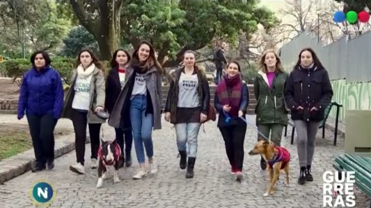Guerreras por las mascotas