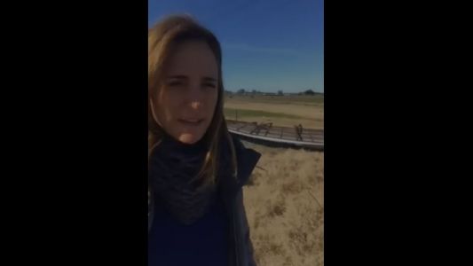 Una candidata kirchnerista denunció que quitaron sus carteles de la autopista