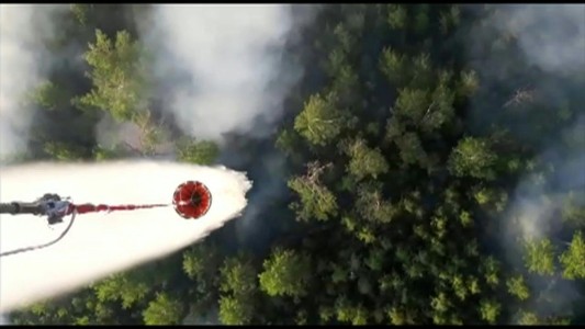 Preocupa la situación de los incendios forestales en Siberia