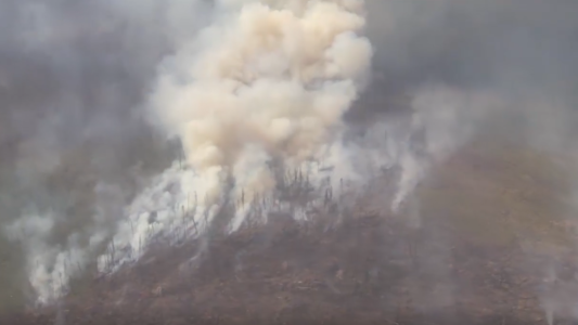 Dos meses de incendios forestales en Siberia