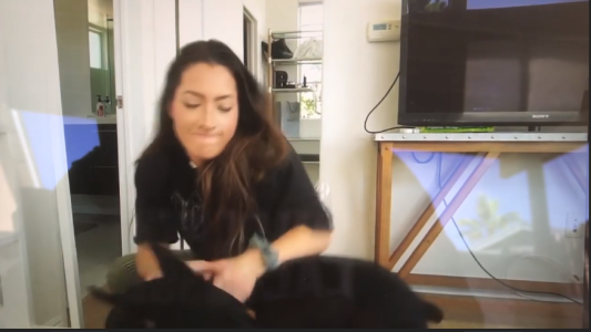 Quiso hacer un viral y subió por error un video golpeando a su perro