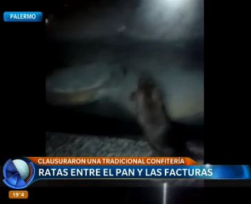 Ratas entre el pan y las facturas