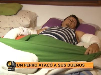 Una familia fue atacada por su perro