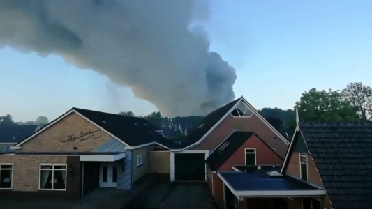 42 mil gallinas mueren en un incendio