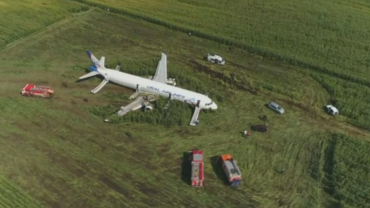 Una bandada de pájaros casi derriba un avión