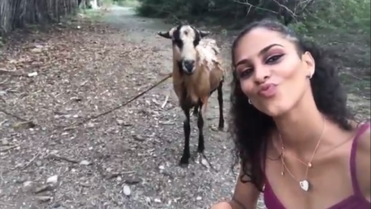 Se quería sacar una selfie y terminó golpeada por una cabra