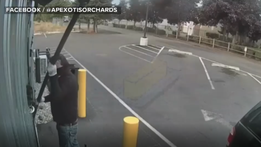 La caída del ladrón con el calzón en la cabeza