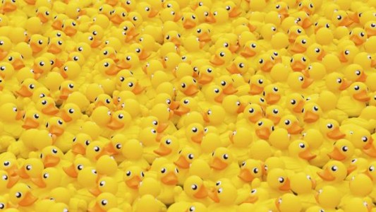 El perro que se intoxicó por tragarse 32 patitos de gomal