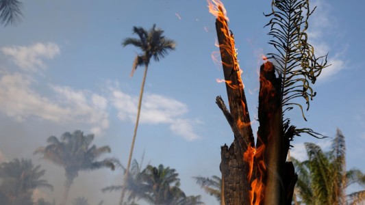 Cuáles son las causas de los incendios en el Amazonas