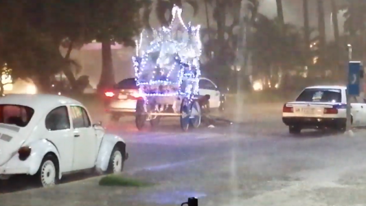 Caballo cae agotado tras tirar de un carruaje turístico