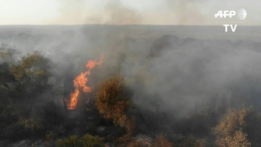 Bolivia intenta frenar los incendios en la frontera con Brasil