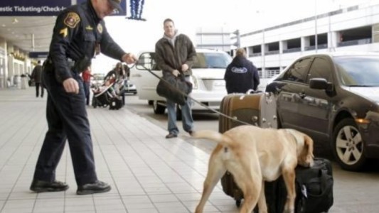 Viajó a EE.UU. con tres botellas de miel y estuvo detenido 82 días porque creyeron que llevaba metanfetamina líquida