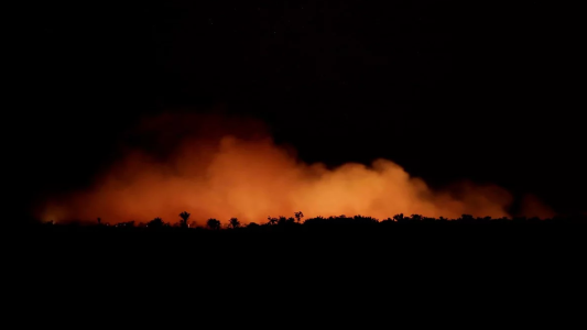 Advierten que el humo de los inendios del Amazonas podría llegar a Buenos Aires