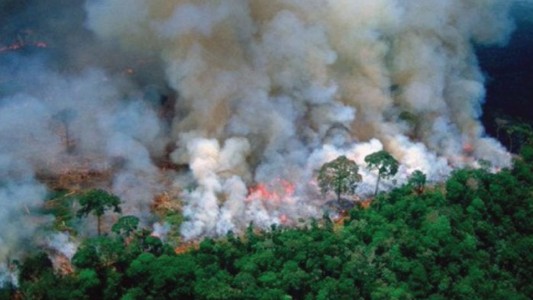Llega el humo de los incendios en el Amazonas a Buenos Aires: ¿Qué precauciones hay que tener?