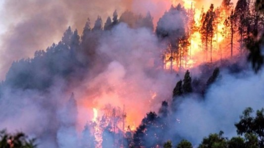 Unos 400 bomberos voluntarios argentinos se ofrecieron para combatir incendios en Brasil
