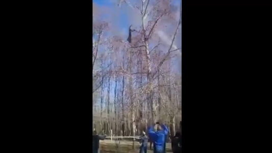 Así atraparon a un puma en Mendoza