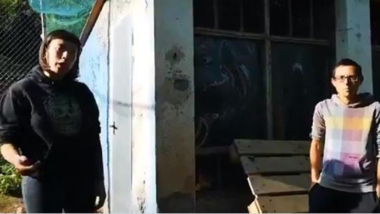 Video: el santuario vegano que separa a las gallinas de los gallos para "evitar violaciones"