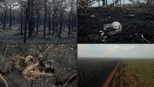 La desolación tras los incendios en Bolivia