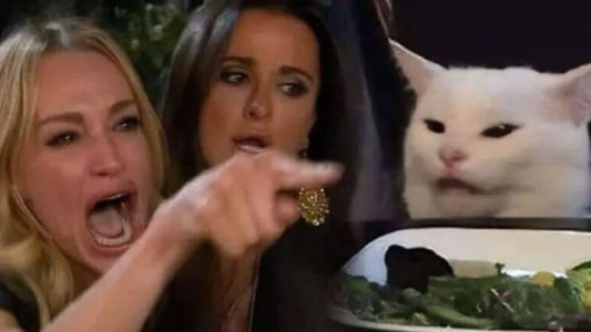 La historia detrás del meme del gato blanco que se volvió viral en las redes sociales
