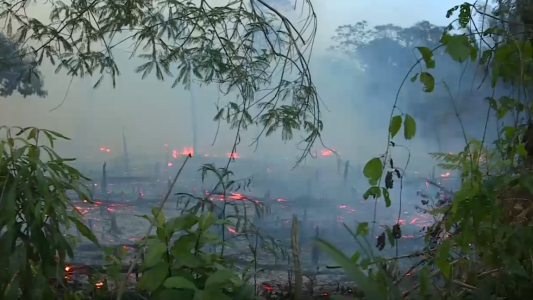 Amazonas: quedan 908 focos activos en Brasil