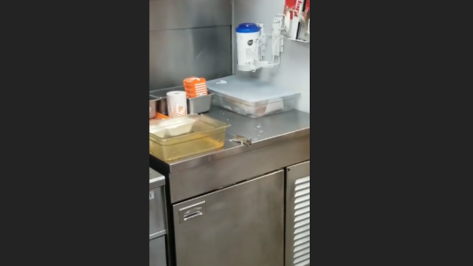 Un ratón salta dentro de la freidora en un local de comida rápida ante los clientes