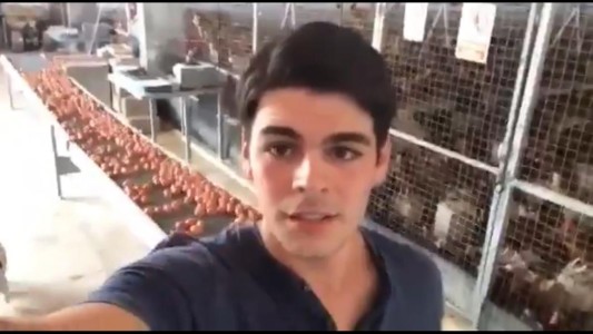 "Los gallos no violan a las gallinas", la respuesta de un hombre de campo al santuario vegano