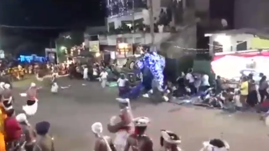 Un elefante sin control causa una estampida y deja 17 heridos