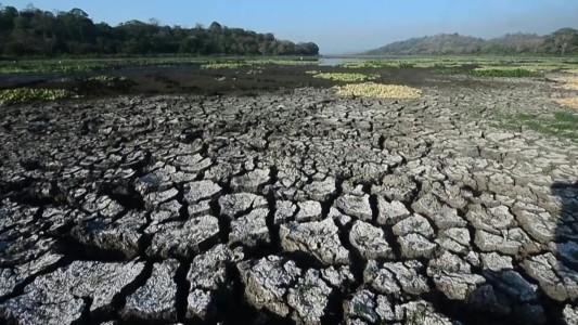 Honduras declaró la emergencia por una severa sequía