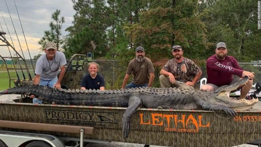 Atraparon en Georgia al cocodrilo más grande de la historia