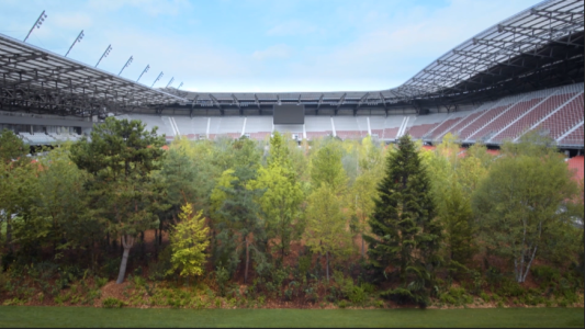 Un estadio de fútbol convertido en bosque