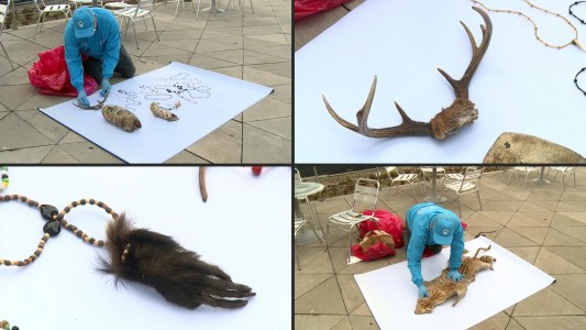 Hallan cientos de partes de animales que eran usadas para brujería