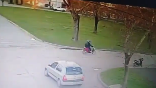 El video que muestra a Navila con el acusado de matarla