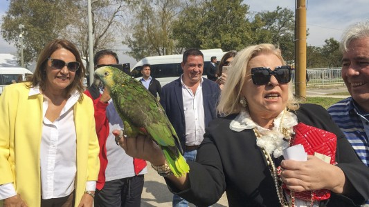 Elisa Carrió pidió liberar a Julio De Vido: "Aunque es el mayor ladrón de la Argentina"