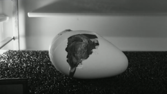 El nacimiento de un emperador