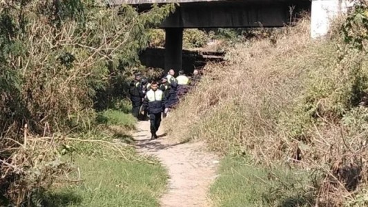 Una mujer quiso arrojar a su hija de tres años desde un puente
