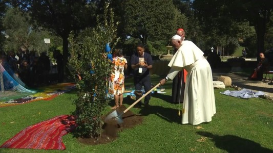 El papa planta un árbol en el Vaticano con indígenas de la Amazonía