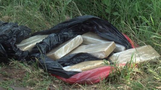 Narco y estafador: vendía excrementos de caballo como si fuera marihuana
