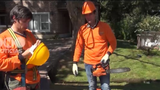 Contratado por un día: Roberto Funes Ugarte se prueba como jardinero