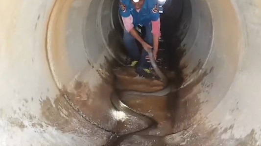Impactante video: hallaron una cobra rey de cuatro metros en el desagüe