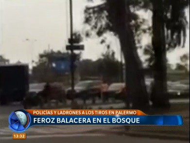 Video: feroz balacera en el bosque