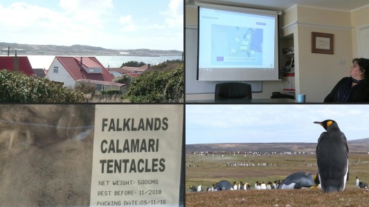 Habitantes de las islas Malvinas temen por el futuro del Brexit