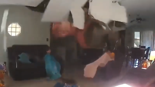 Cayó un árbol sobre la casa y se desplomó el techo mientras miraban tv