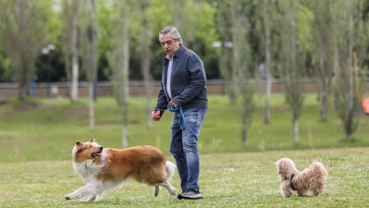 Alberto Fernández: paseo con su perro Dylan y selfie con vecinos, antes de votar