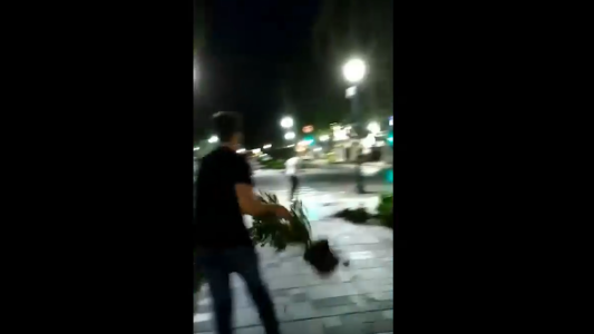 Se grabaron vandalizando un boulevard y deberán pagar los daños