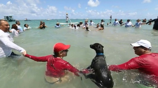 Abrazo simbólico a un playa brasileña tras limpieza de petróleo