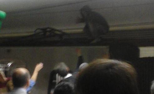 Un hombre permaneció media hora sobre el techo de un vagón del subte